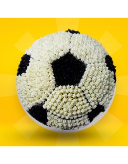 2D Cake - Football