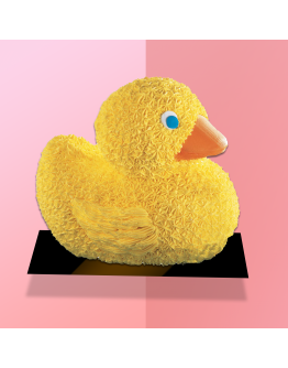 3D Cake - Yellow Duckling