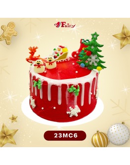 Christmas Cake 2023 VI